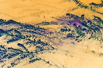 N 153B